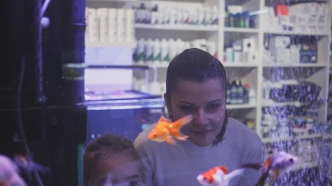 Interested little girl with smiling young mother standing behind glass aquarium in pet store choosing exotic fish for home fish tank