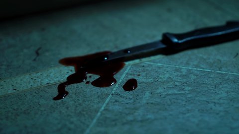 Bloody Knife Murder Weapon At Crime Scene, Cinematic Detail.
