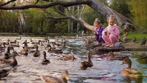 Two little girls are sitting by the lake and feeding ducks and pigeons. Kids feeding birds with bread on the bank of pond in city park.