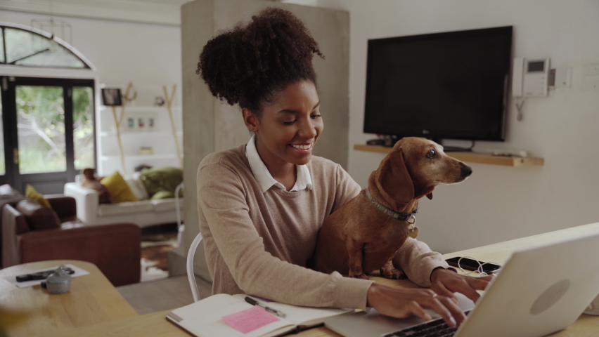 Smiling young creative woman sitting with his pet dog using laptop while working from home Royalty-Free Stock Footage #1058651491