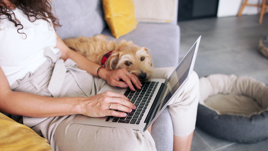 Unrecognizable woman with pet dog sitting indoors at home, using laptop. | Shutterstock HD Video #1058656642