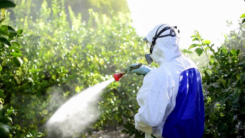 Farmer in protective clothes spray pesticides. Farm worker spray pesticide insecticide on fruit lemon trees. Ecological insecticides Royalty-Free Stock Footage #1058667079