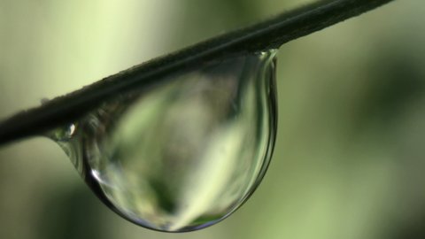Extreme close-up footage of sunlight shinning on a dew drop on wet morning green grass, nature, growth, environment 
