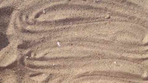 female hand draws a heart on the sand by the sea


