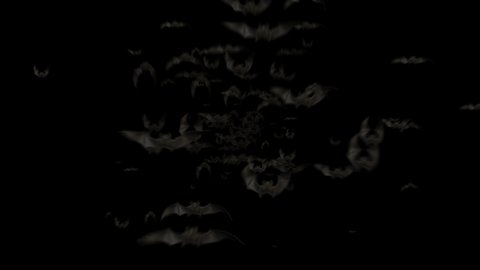 Flying Bats Animation with Black Alpha Channel. Halloween Bats Background. Fly Silhouette Bat. Many Flittermouse. Halloween Bat Party Transition Template. 3d Motion Design Elements for Decoration 4k