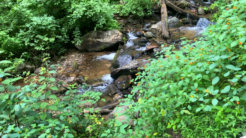 Side View Of Incline Of Amicalola Falls Tumbling Waters In Blue Ridge Mountains Georgia, Shot On Labor Day 2020 In The Morning, 4k
