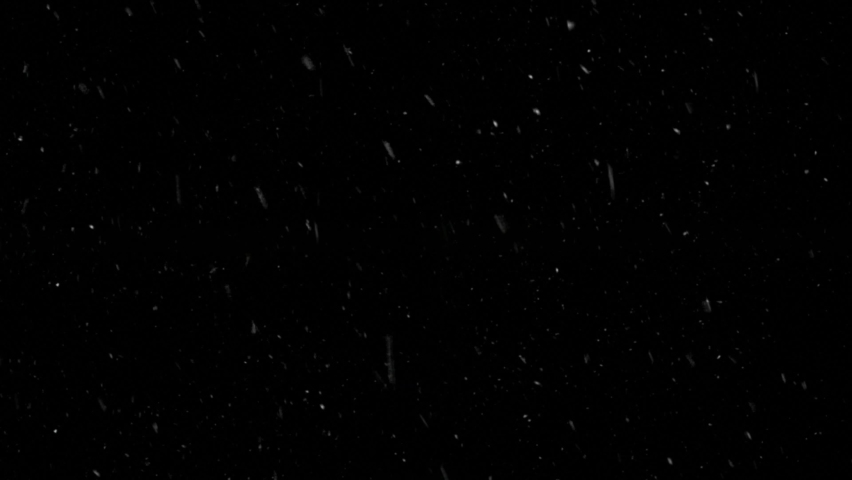 High quality motion animation repesenting snow falling on black background. Snowing footage