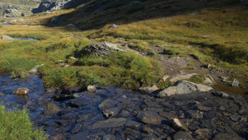 Alpine landscape, high mountain stream in uncontaminated environment amid rocks and meadows, snowcapped mountain range and glaciers, idyllic green valley. The Alps.