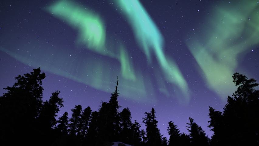 Aurora Green in Purple Starry Sky Winter Forest Loop | Shutterstock HD Video #1058699860