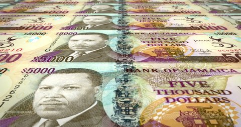 Banknotes of five thousand jamaican dollars of Jamaica rolling, cash money, loop