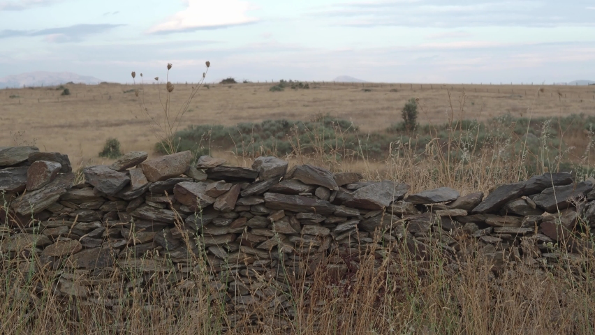 Stone wall dividing a meadow in a rural Spanish landscape.
Depopulated Spain, rural world