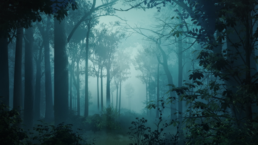 Mysterious landscape of foggy forest at midnight.