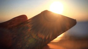  man's hands uses mobile smartphone near the sea at sunset beach. With blurred reflected In water background