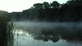 Early morning mist floating over calm water, lake. Aerial view of slowly floating vapor, steam over lake at dawn time, before sunrise
 - Powered by Shutterstock - Get 15% off with code: PIKWIZARD15
