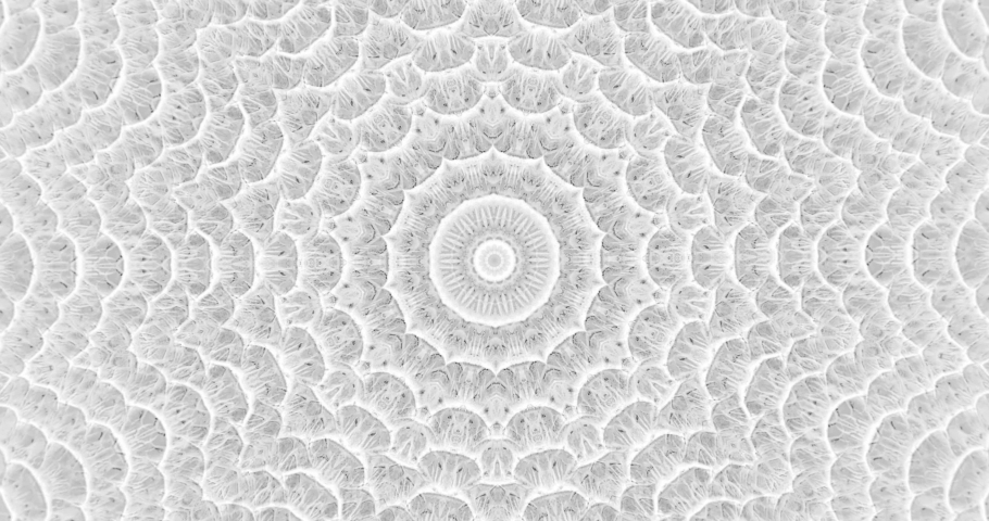 Skin snake background White snake skin texture Close-up 