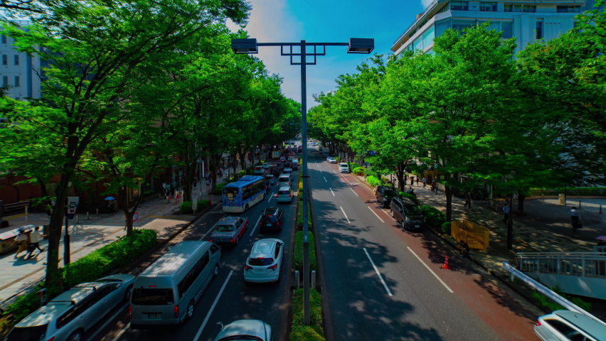 A timelapse of cityscape at Omotesando avenue in Tokyo daytime wide shot tilt. Shibuya district Tokyo Japan - 08.06.2020 : It is a center of the city in tokyo. Royalty-Free Stock Footage #1058732752