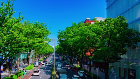 A timelapse of cityscape at Omotesando avenue in Tokyo daytime wide shot panning. Shibuya district Tokyo Japan - 08.06.2020 : It is a center of the city in tokyo.