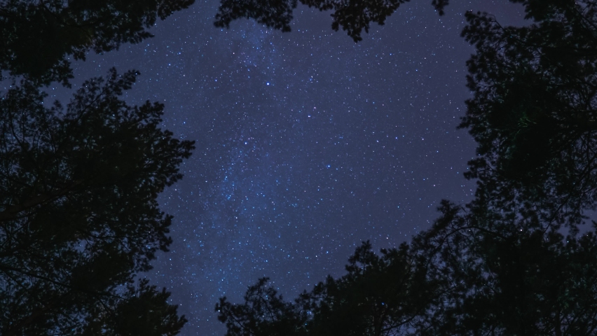 Timelapse of night sky in the forest. Milky way is visible between trees Royalty-Free Stock Footage #1058732872