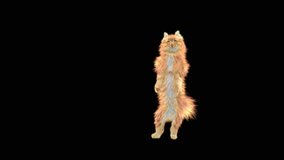 Cat Dancing CG fur, 3d rendering,Animation Loop, animal realistic CGI VFX. composition 3d mapping, cartoon, Included in the end of the clip with Alpha matte.