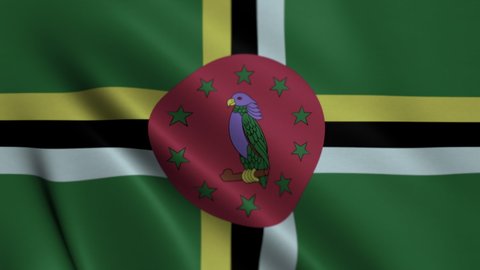 Waving Big Dominica Flag 3D Loop