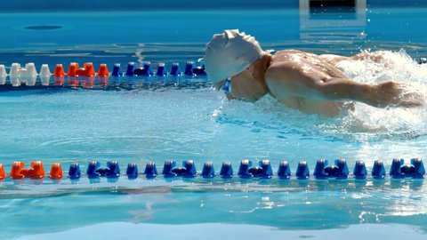 Professional swimmer is swimming butterfly in a pool. Butterfly technique. Butterfly training.