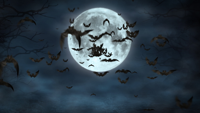 Flying Bats Animation with Black Alpha Matte. Halloween Bats on Moon Night Background. Fly Silhouette Bat. Many Flittermouse. Bat Party Transition Template. 3d Motion Design Elements Decoration 4k Royalty-Free Stock Footage #1058759158