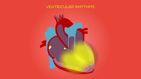 Cardiac Arrhythmia Heart Rhythm Medical isolated background 
