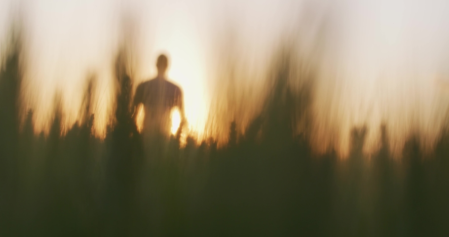 Hope Future Heaven After Live Walking Man Beyond Farmer Through Wheat Field At Sunset Golden Hour Male Rear View Agriculture Celestial Biblical Vision RED 8k Slow Motion Royalty-Free Stock Footage #1058768368