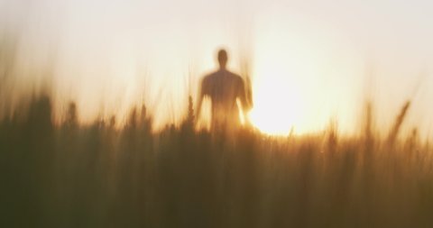 Hope Future Heaven After Live Walking Man Beyond Farmer Through Wheat Field At Sunset Golden Hour Male Rear View Agriculture Celestial Biblical Vision RED 8k Slow Motion