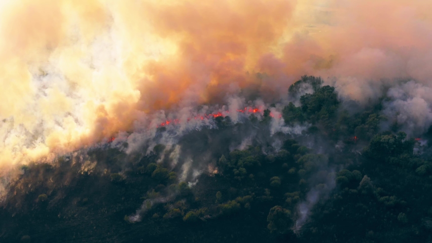 Summer wildfire or fire in nature with smoke, aerial view from drone. Burning dry grass and trees. Natural disaster in forest in dry season Royalty-Free Stock Footage #1058772943