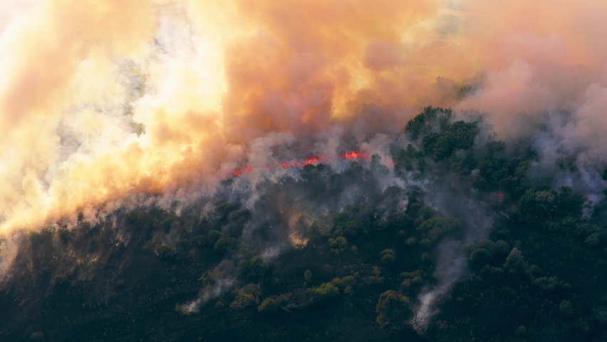 Summer wildfire or fire in nature with smoke, aerial view from drone. Burning dry grass and trees. Natural disaster in forest in dry season | Shutterstock HD Video #1058772943