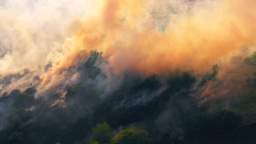 Summer wildfire or fire in nature with smoke, aerial view from drone. Burning dry grass and trees. Natural disaster in forest in dry season | Shutterstock HD Video #1058772949