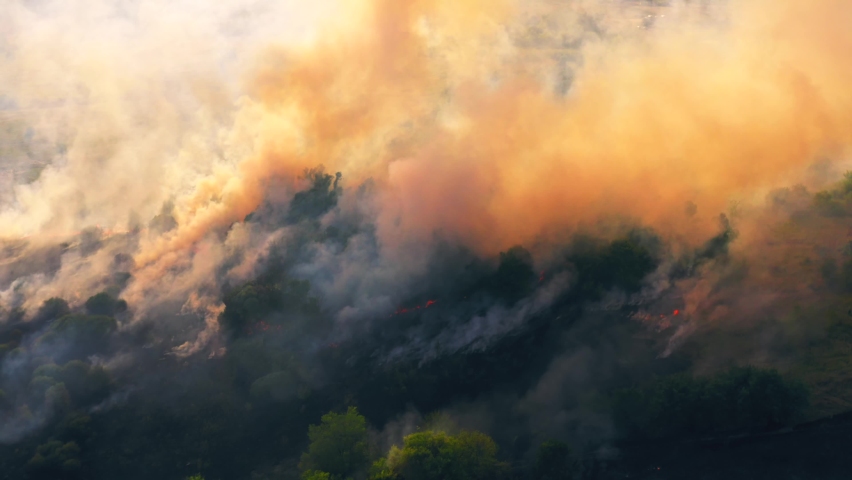 Summer wildfire or fire in nature with smoke, aerial view from drone. Burning dry grass and trees. Natural disaster in forest in dry season | Shutterstock HD Video #1058772949