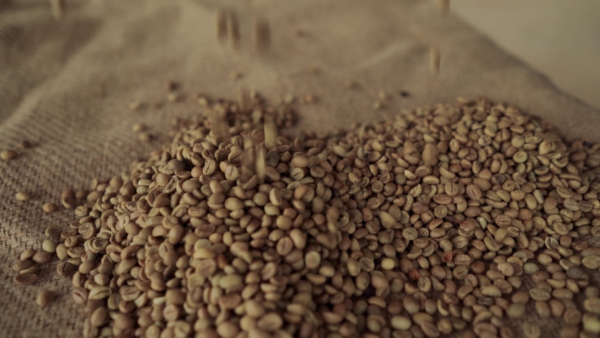 Unroasted green coffee beans on sack background. Raw coffee beans fall from above. Royalty-Free Stock Footage #1058774578