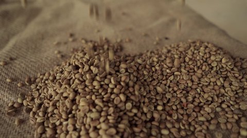 Unroasted green coffee beans on sack background. Raw coffee beans fall from above.