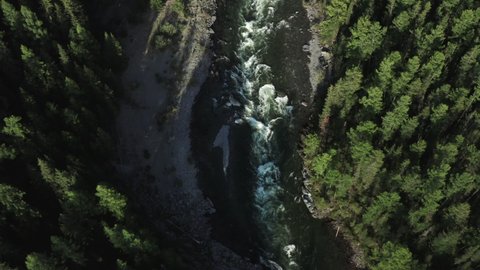 Aerial Altay taiga river in the gorge the view from the top 2.mov
