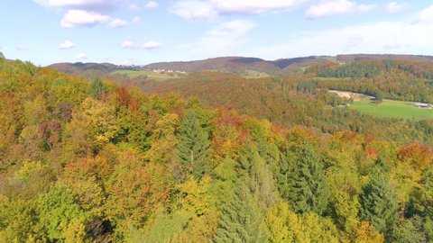 DRONE: Scenic view of the gorgeous autumn colored landscape in Kranjska Gora. Cinematic aerial shot of the dense deciduous woods changing leaves at the peak of autumn. Vibrant fall-colored countryside