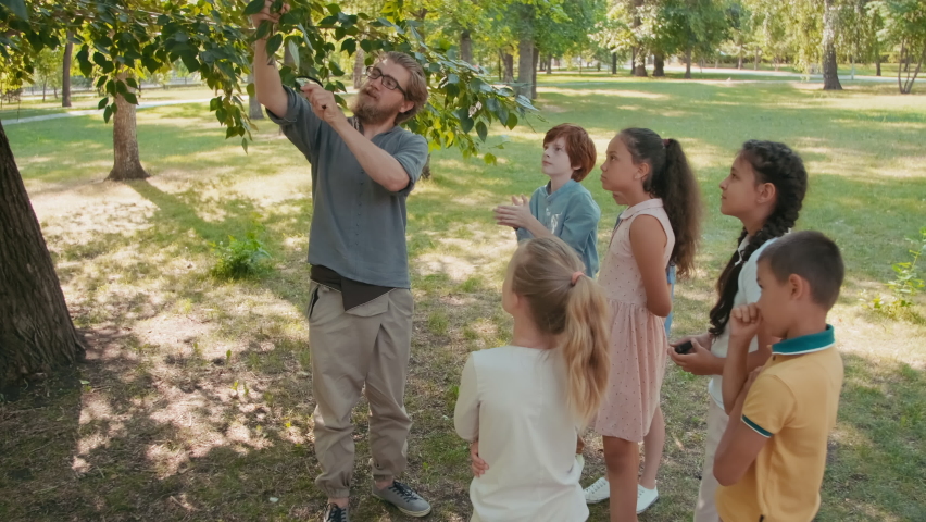 Tracking shot of bearded male biology teacher with magnifying glass holding tree twig and showing green leaves to group of curious schoolchildren in park on summer day