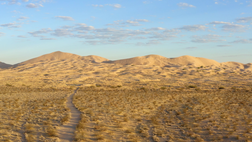 Large sand dunes stand proudly in the yellow late afternoon sunset over the Kelso Dunes in the Mojave Desert. Hiking path in the foreground.