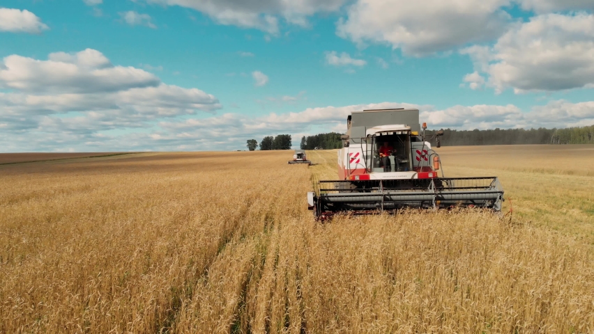 Harvester machine to harvest wheat field working. Combine harvester agriculture machine harvesting golden ripe wheat field. A field after a harvest. Combine harvester working on a wheat field. | Shutterstock HD Video #1058811034