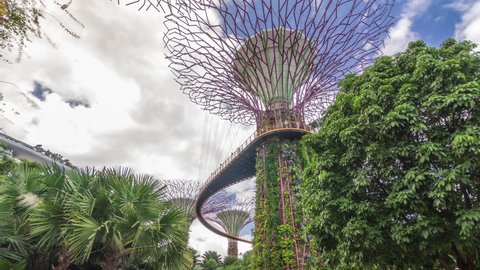 SINGAPORE - CIRCA JAN 2020: Futuristic view of amazing supertrees at Garden by the Bay timelapse hyperlapse in Singapore. Supertree Groveis is main Marina Bay district tourist attraction. Clouds on a