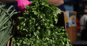 Market saleswoman weighs parsley for buyer before selling