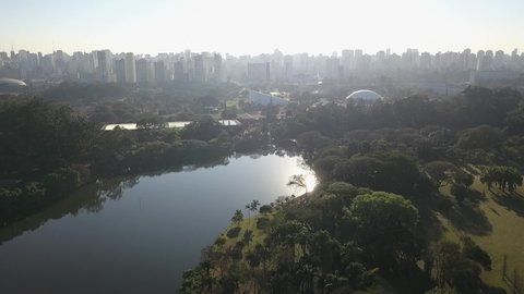 Aerial view over trees in the Ibirapuera Park in central Sao Paulo in Brazil, with the skyline in background