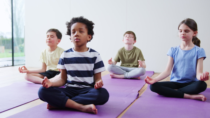 Group Of Children Sitting On Exercise Mats And Meditating In Yoga Studio Royalty-Free Stock Footage #1058821558