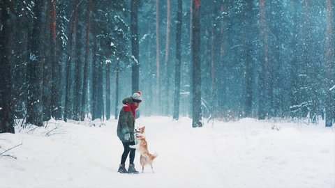 Animal love. Happy young woman playing with her border collie dog in snowy winter forest. Friendship of a girl and a pet. Having fun together. Dogs are best friends. Cheerful puppy jump to her owner.