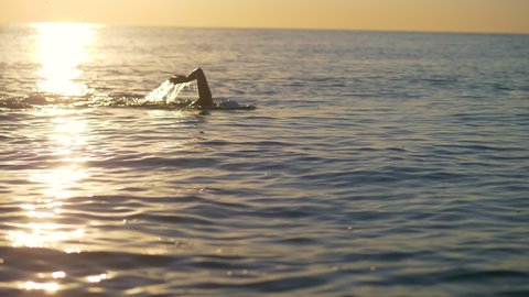 Professional Swimming Workout at Sunset, two athletes Swimming Preparing for Competition. Professional Swimmer Workout In Open Water. Swimmer Sport Exercising. High quality 4k footage