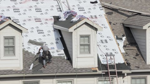Morgantown, WV - 10 September 2020: Young roofing contractor nailing new shingles on a townhouse roof high above the ground
