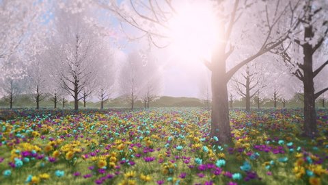 Colorful Flowers & Peer Trees Field Loop - Nature Landscape Background