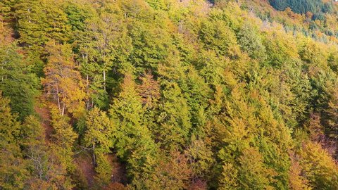 Autumnal landscape footage from Spain , Catalonia mountains Montseny.
