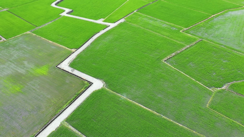Paddy field aerial view - Vast green paddy field, birds eye view use the drone, shot in Waipu Wangyou Gu, Taichung, Taiwan. Royalty-Free Stock Footage #1058860183